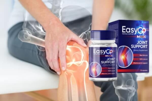 Ano ang Easy Go Max at Paano Ito Gumagana?