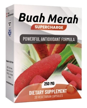 Buah Merah gamot Pilipinas