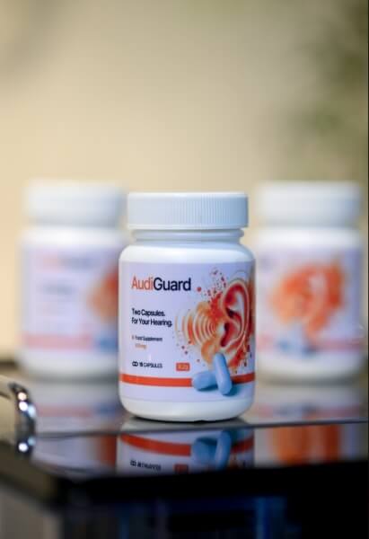 Paano Gamitin ang AudiGuard: Mga Tagubilin?